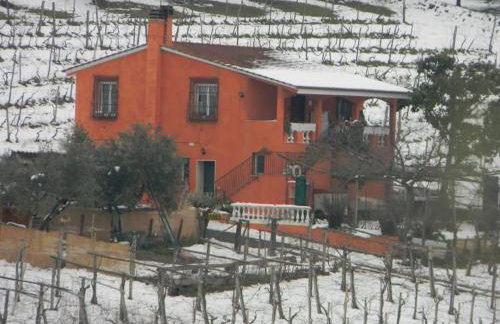 Poggio agli Ulivi vicolo di Colle Reti 22 Frascati - Photo 2