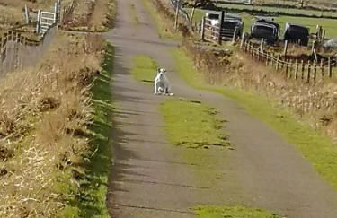 The Fisherman's Snug self catering North Uist - Foto 50