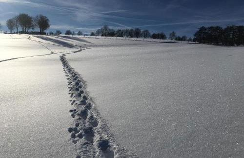 Ferienhaus Eifel Charlotte - Foto 31