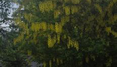 Domek u Gochy - Foto 5