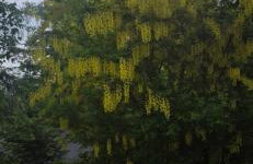 Domek u Gochy - Foto 5