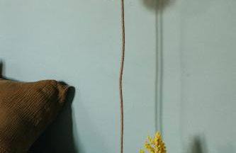 Mercerie de Denise - Foto 16