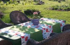 Agroturystyka Jak Makiem Zasiał Dworki 10 - Foto 72