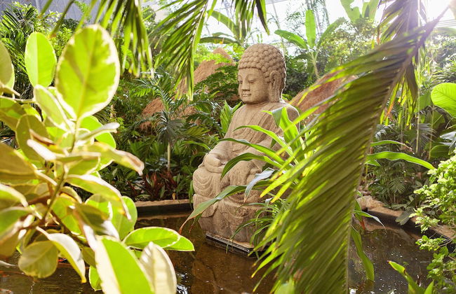 Tropical Islands Resort - Foto 77