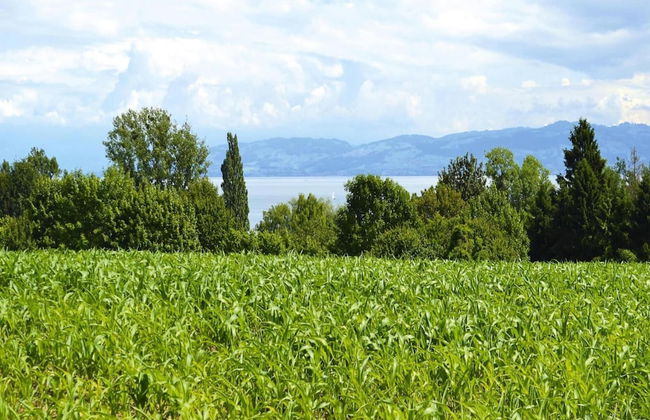 Apartment Near Lake Constance and Alps - Foto 24