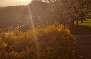 Chatka Milkowska - Foto 17