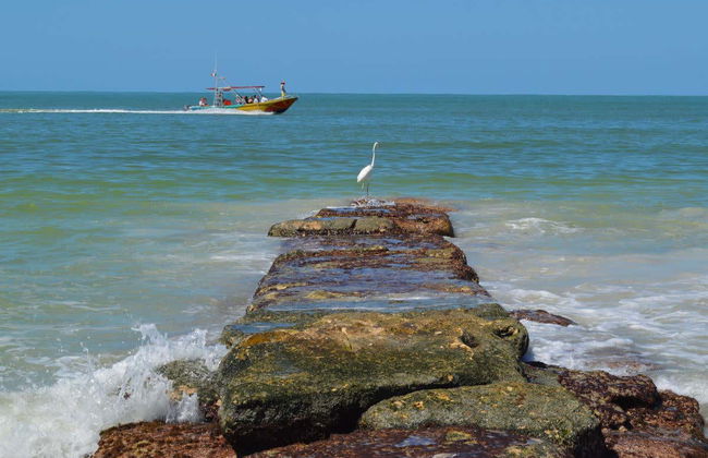 Excursión a la isla Holbox - Foto 1