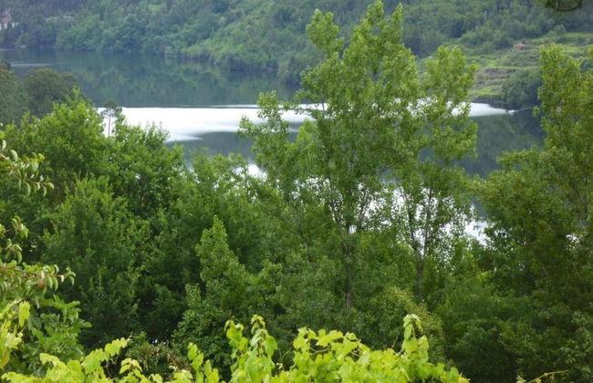 Forest Hideaway Near Douro Valley - Foto 27