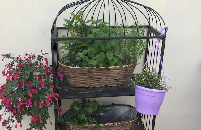 Old Town Boutique Apartments - Foto 26