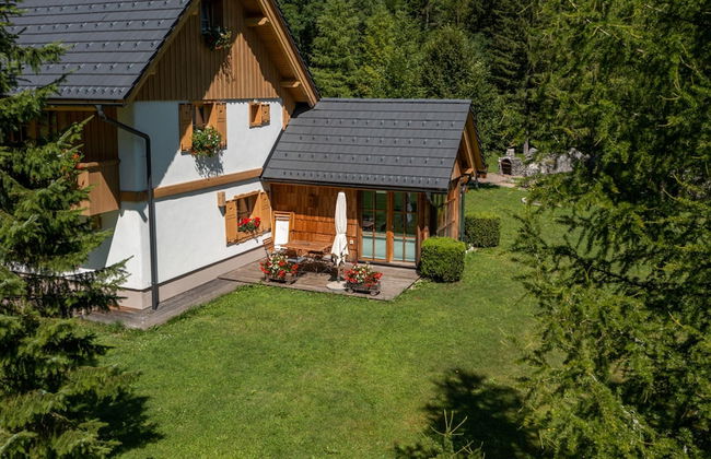 ALPIK Chalets - Bohinj - Foto 28