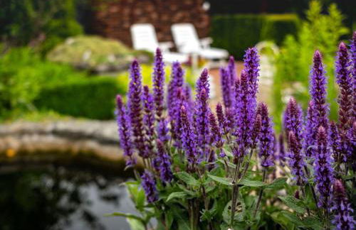 Holiday Apartment Zur Heide - Foto 47