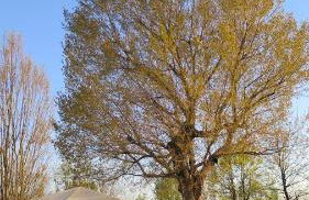 Agriturismo L'Albara - Wines, Pool & SPA - Foto 32