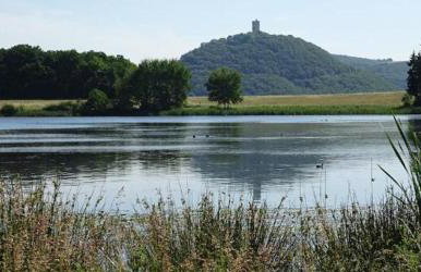 Kleines Glück - Foto 48