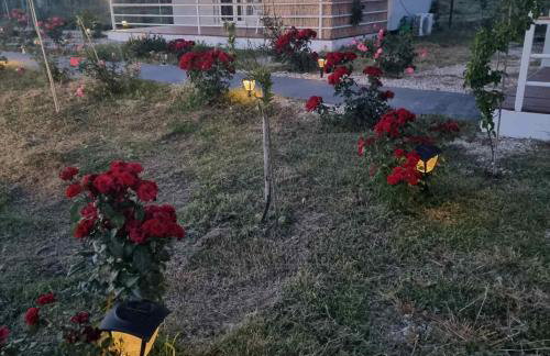 Agroktima Arta - Farm Stay - Foto 53