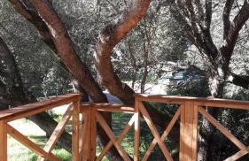 chalets bois 150m de la plage - Foto 11