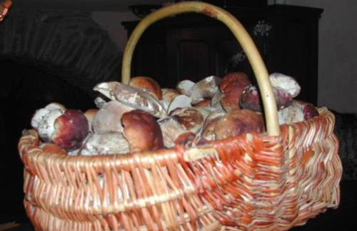 Gîte de la Chatiere - Foto 13