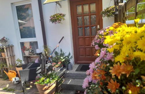 Pension Entenhausen - Foto 33