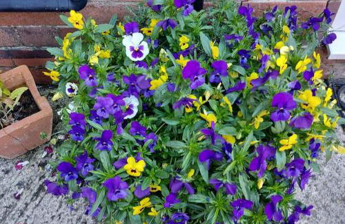 Old library apartment - Foto 17