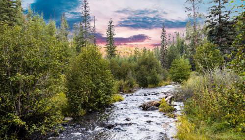 Whispering Hollow Lodge on Greer Main St! - Foto 3