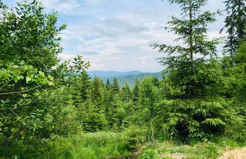 Flowmove Laliki - Foto 11