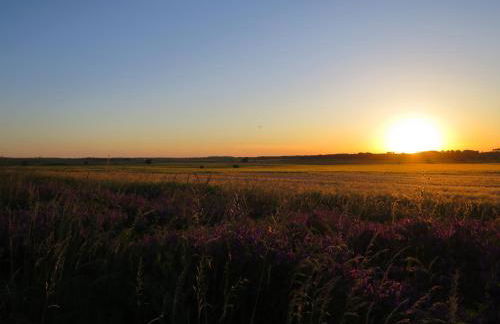 Pension zum Wiesengrund - Photo 13