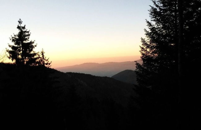 Holiday Apartment Tannenblick - Foto 5