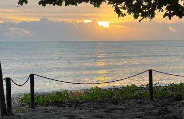 Cumuru pé na areia - Photo 17