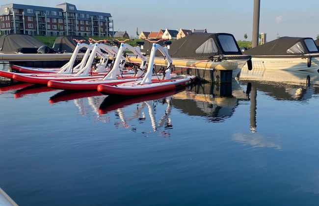 Premium Island 6p in Thorn - Photo 46