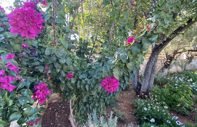 Villa Serenity - Foto 53