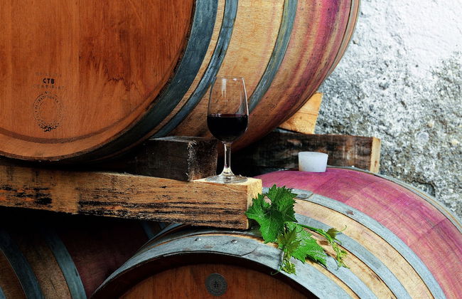 Fattoria Casabianca - Foto 32