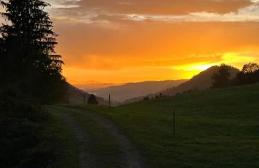 Wald Lounge - Foto 59