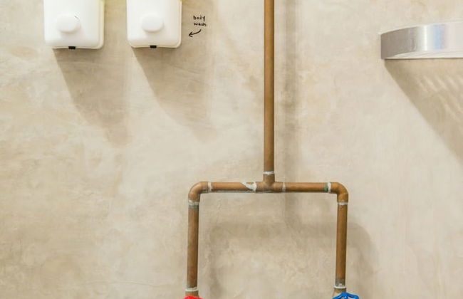 TROPICALIA by DW - Foto 51