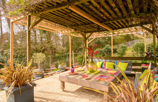 Dans la forêt de Pin - Foto 2