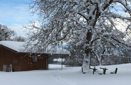 Brausamhof - Photo 19