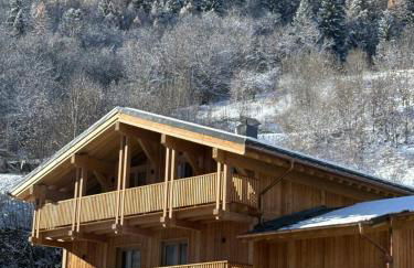 Somptueux Chalet 12 personnes - Villaroger - Foto 1