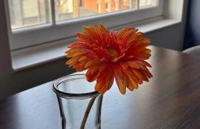 Richmond Ibis House Apartments by Viridian Apartments - Foto 126