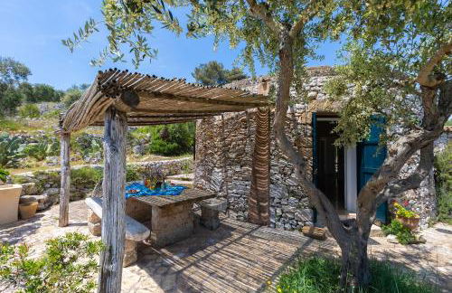 Pajara Rugiada - Foto 14