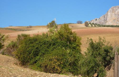 Family Stay with Private Pool - Foto 34