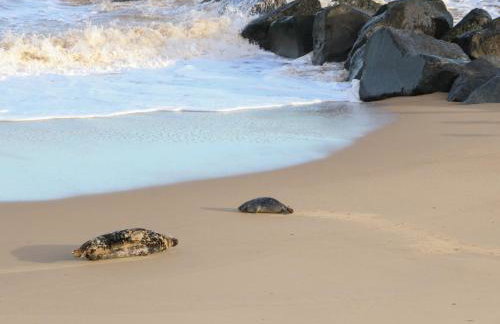 The Look Out - Photo 21