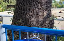 Milisia Rooms - Foto 36