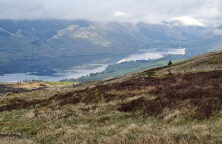 Thistle House Guest House - Foto 72