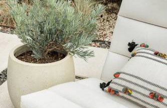 Cozy Bungalow Retreat Walking Distance to Downtown - Photo 17