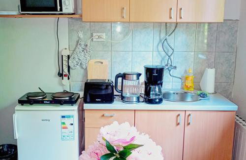 Apartments with balcony and with large free parking House Oliver - Foto 36