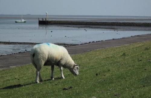 Apartment Pellworm by Interhome - Photo 29