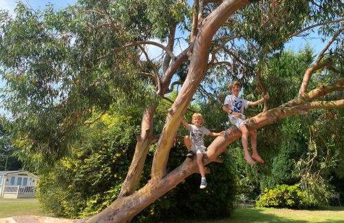 KellysHolidayHomes Atlas 3 bedrooms caravan - Foto 20