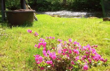 Ferienwohnung zum Sebnitzer Hirsch - Photo 36