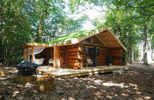 Secluded Hand Crafted Log Cabin - Foto 1