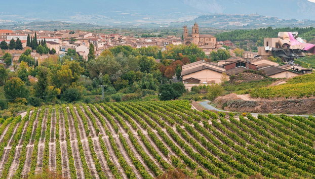 Escursione privata da Logroño