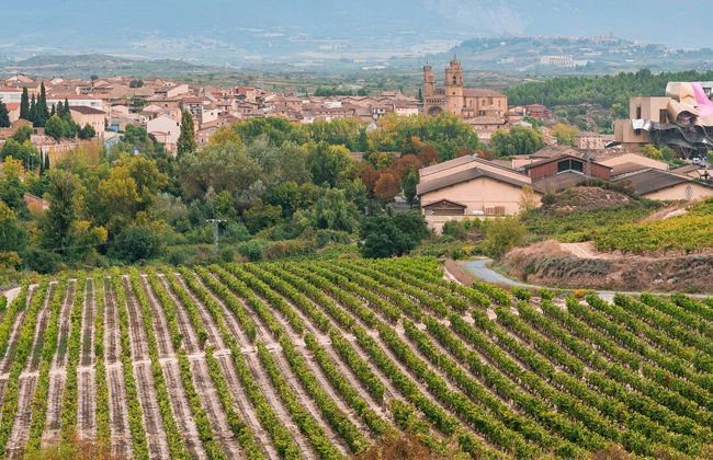 Tour in Logrono - Photo 4
