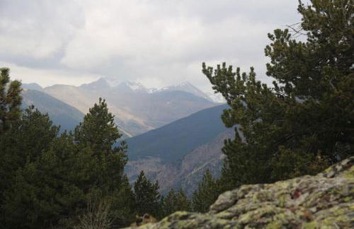 Maison du Roy/ Upper Cambers - Foto 70